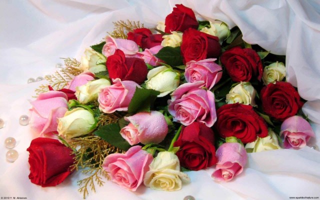 13625_rose_bouquet_w_1920x1200