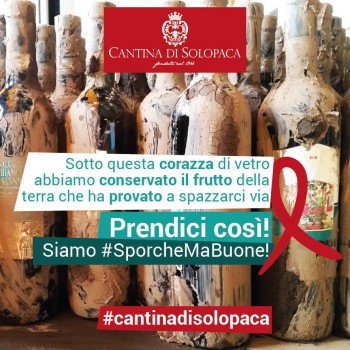 prendici-così-sporche-ma-buone-vino-solopaca